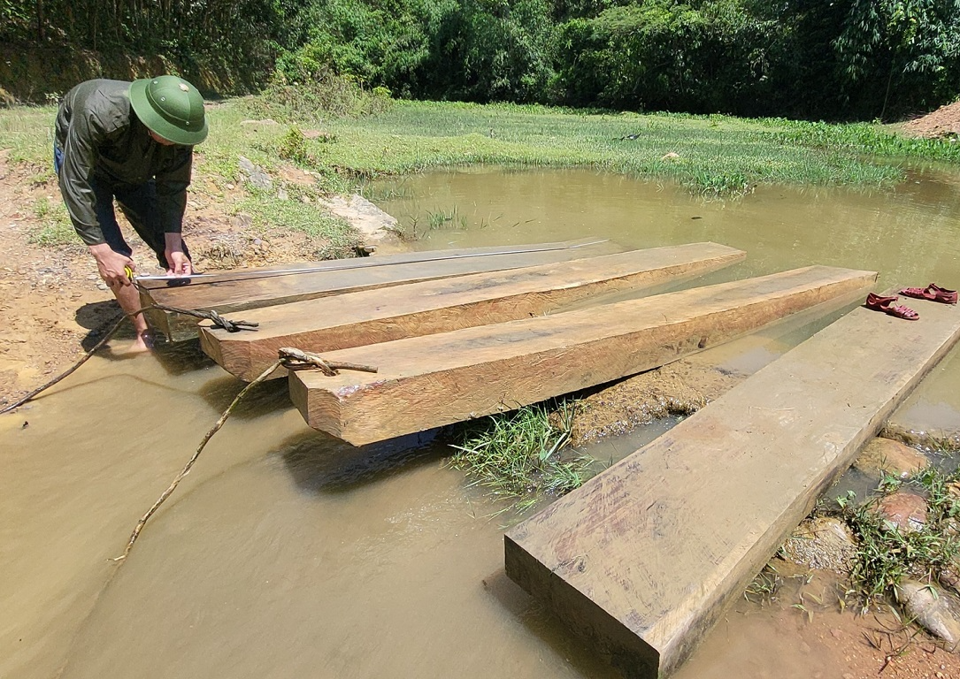 Bị phạt 10 triệu đồng vì chặt 2 cây gỗ về đóng quan tài