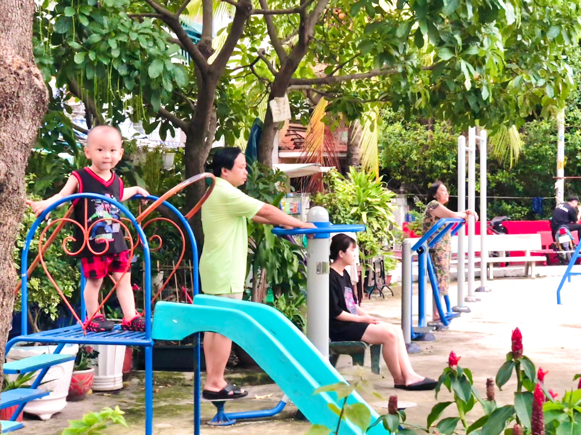 Biến 243 bãi rác thành công viên, vườn rau