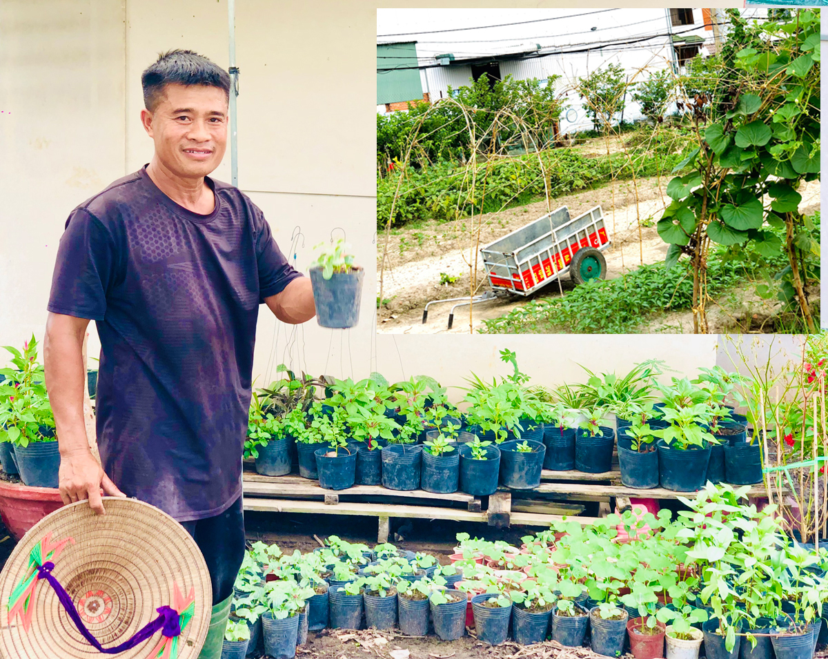 Biến 243 b&atilde;i r&aacute;c th&agrave;nh c&ocirc;ng vi&ecirc;n, vườn rau - Ảnh 2.