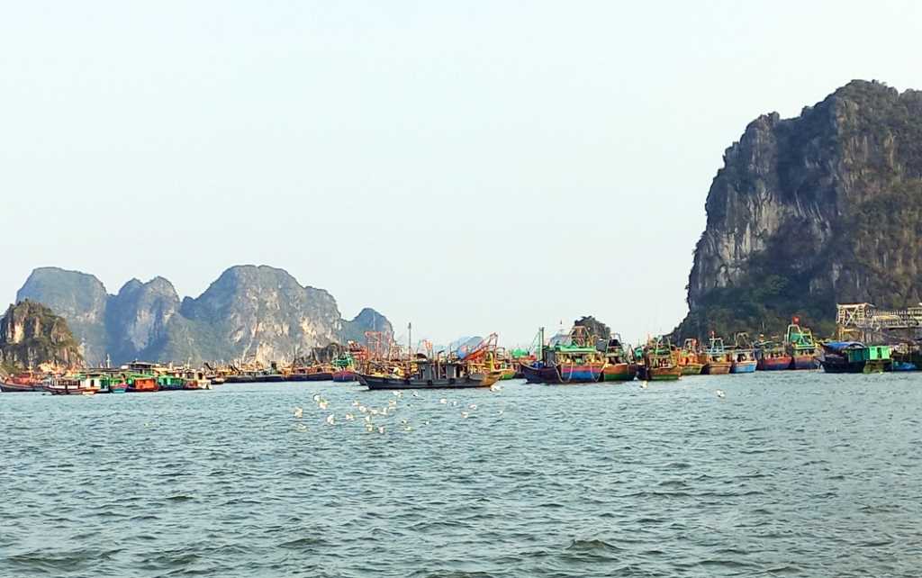 Ứng phó bão số 1, Quảng Ninh bắt đầu sơ tán dân khỏi vùng nguy hiểm - Ảnh 3.