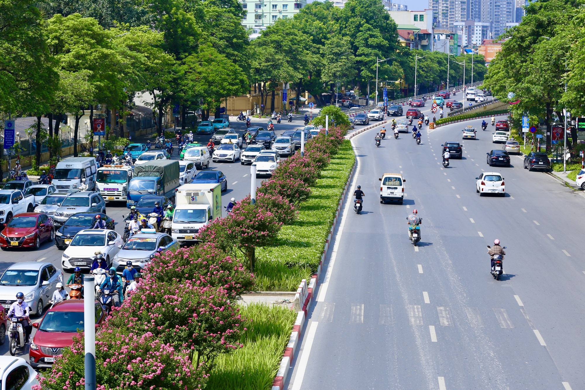 Giới trẻ th&iacute;ch th&uacute; khoe sắc b&ecirc;n hoa tường vi nở rộ - Ảnh 1.