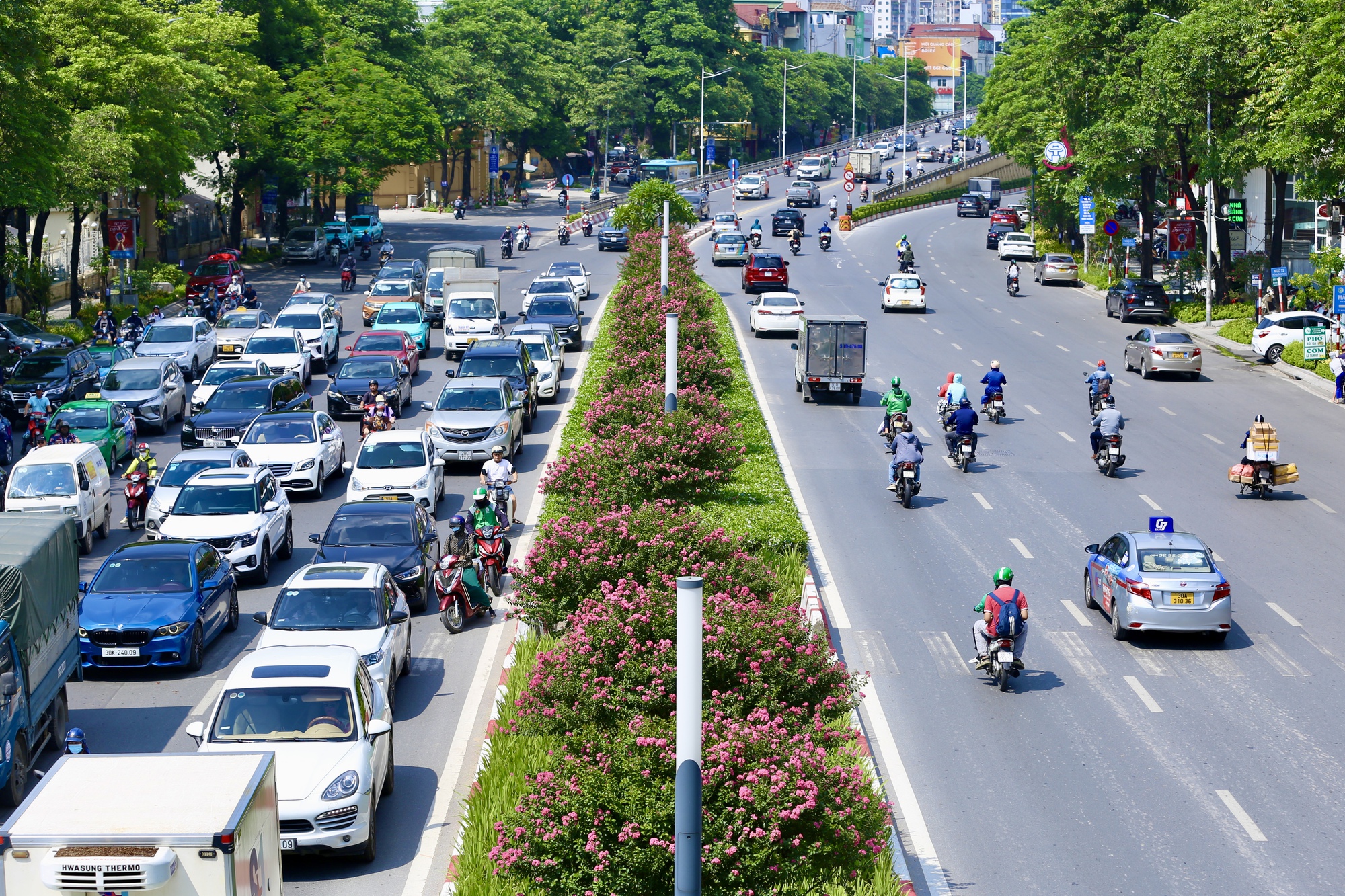 Giới trẻ th&iacute;ch th&uacute; khoe sắc b&ecirc;n hoa tường vi nở rộ - Ảnh 5.