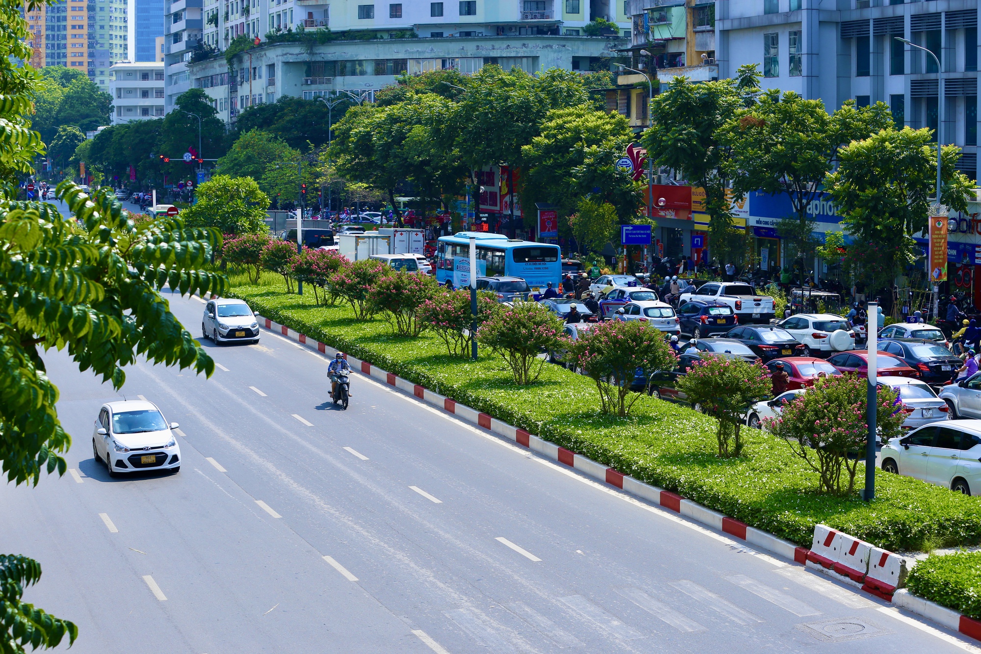 Giới trẻ th&iacute;ch th&uacute; khoe sắc b&ecirc;n hoa tường vi nở rộ - Ảnh 2.