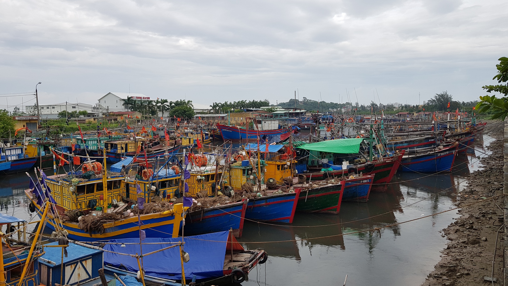 Hạ Long, Cát Bà đồng loạt cấm biển từ chiều 17-7 - Ảnh 5.