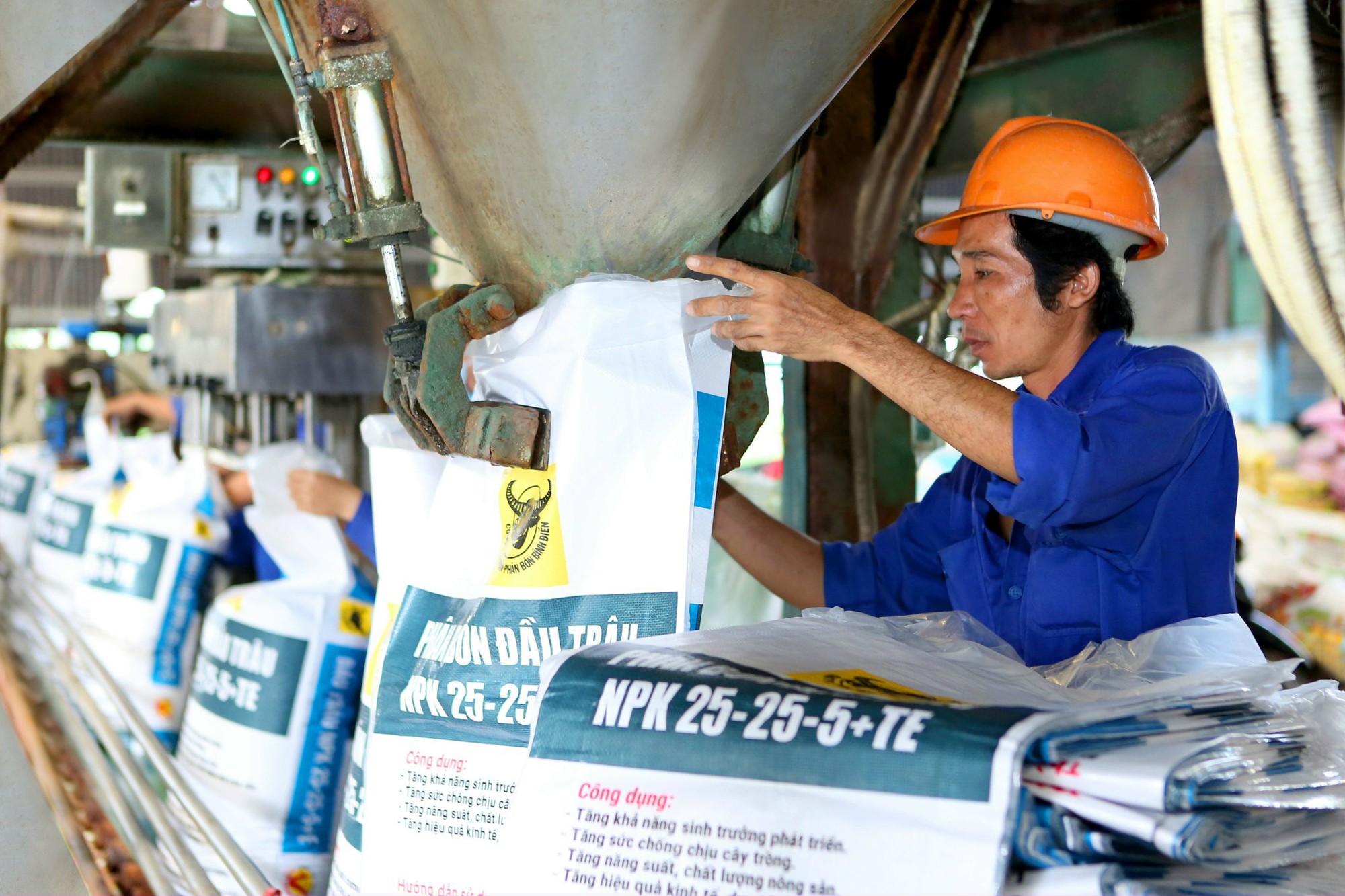 B&igrave;nh Điền &ndash; Đầu Tr&acirc;u: Top 10 Nh&atilde;n hiệu nổi tiếng Việt Nam năm 2023 - Ảnh 2.