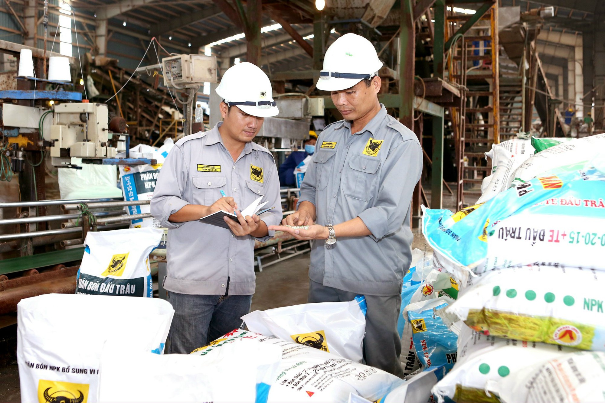 B&igrave;nh Điền &ndash; Đầu Tr&acirc;u: Top 10 Nh&atilde;n hiệu nổi tiếng Việt Nam năm 2023 - Ảnh 3.
