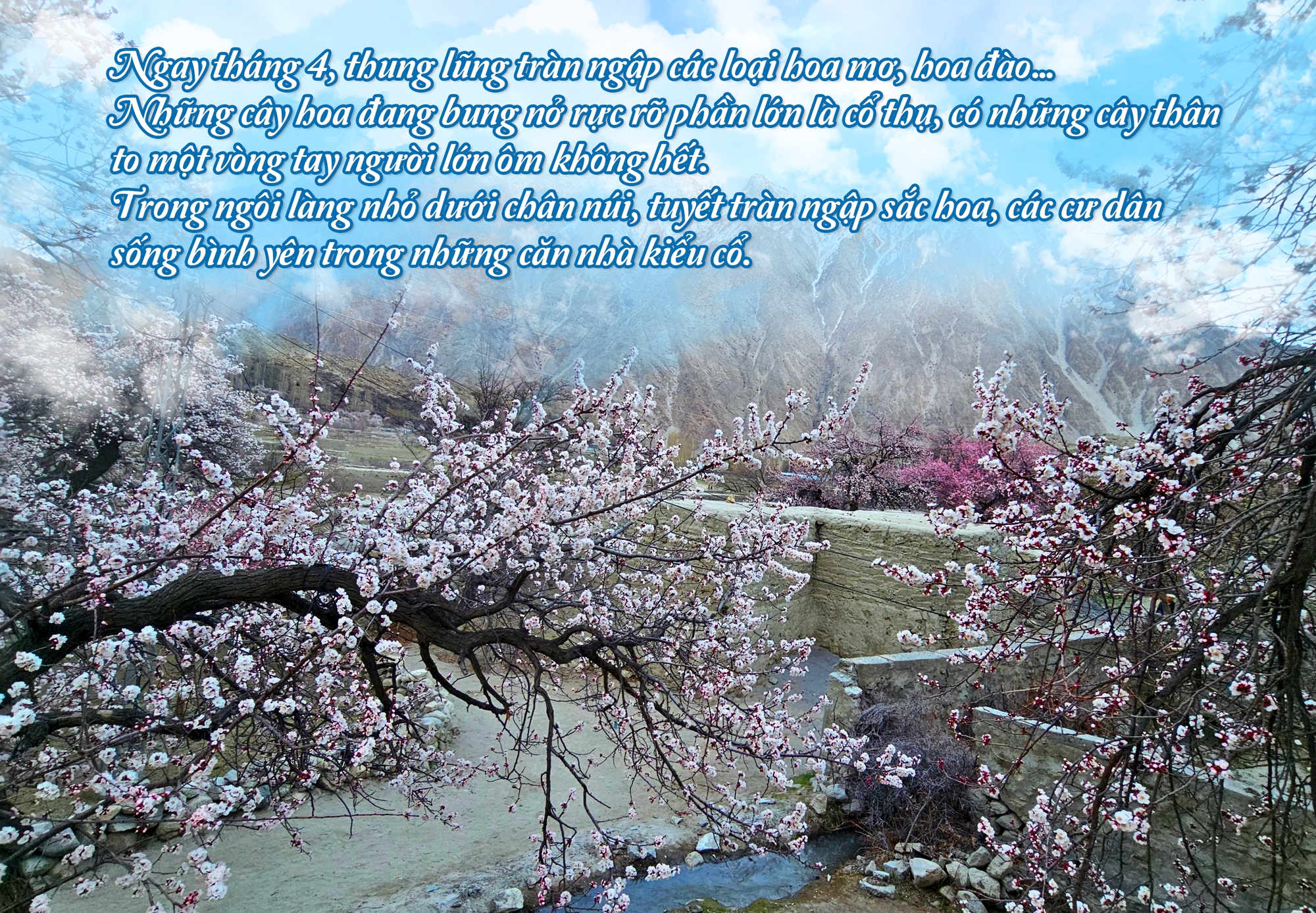 Bí ẩn “thung lũng trường thọ” Hunza - Ảnh 4.