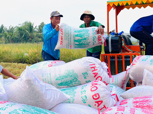 5-Anh-5-Hợp-tác-với-TP-HCM-giúp-nông-sản-vùng-ĐBSCL-có-đầu-ra-ổn-định