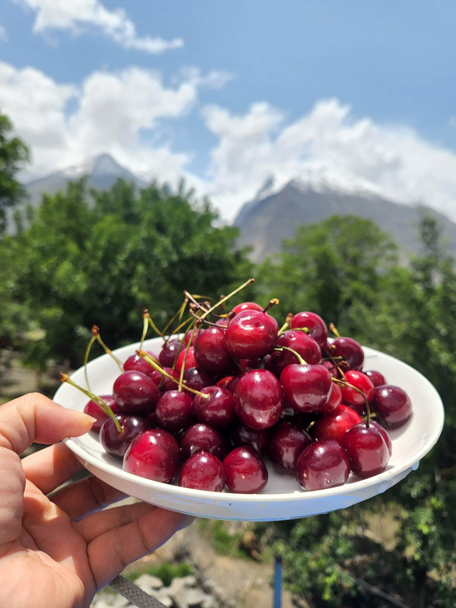Bí ẩn “thung lũng trường thọ” Hunza - Ảnh 14.
