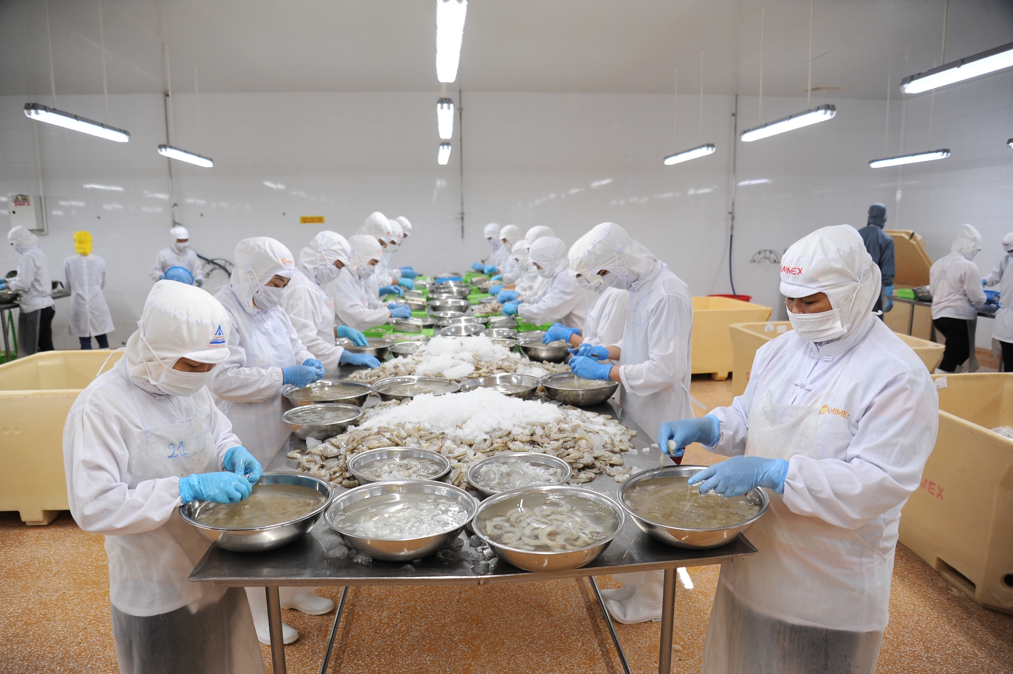 Bộ trưởng L&ecirc; Minh Hoan n&oacute;i về giải ph&aacute;p ph&aacute;t triển bền vững ng&agrave;nh t&ocirc;m - Ảnh 1.
