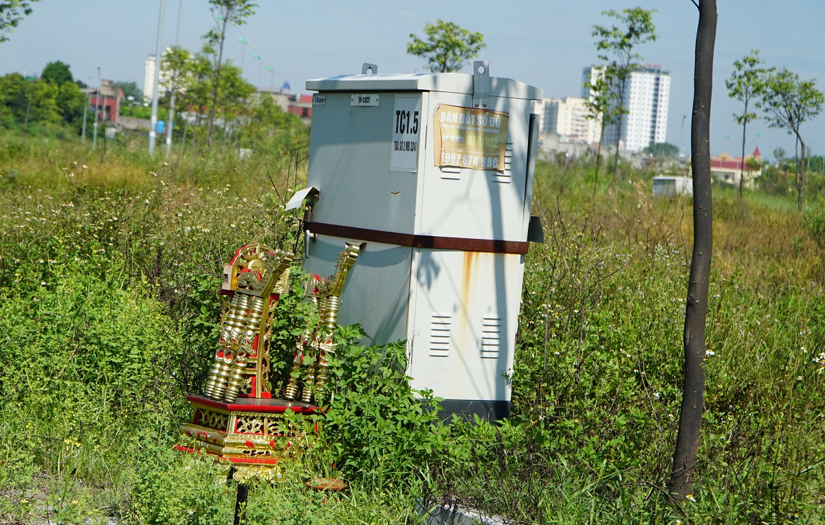 Mặt bằng đất vàng giữa lòng TP Thanh Hóa thành nơi thả bò - Ảnh 11.