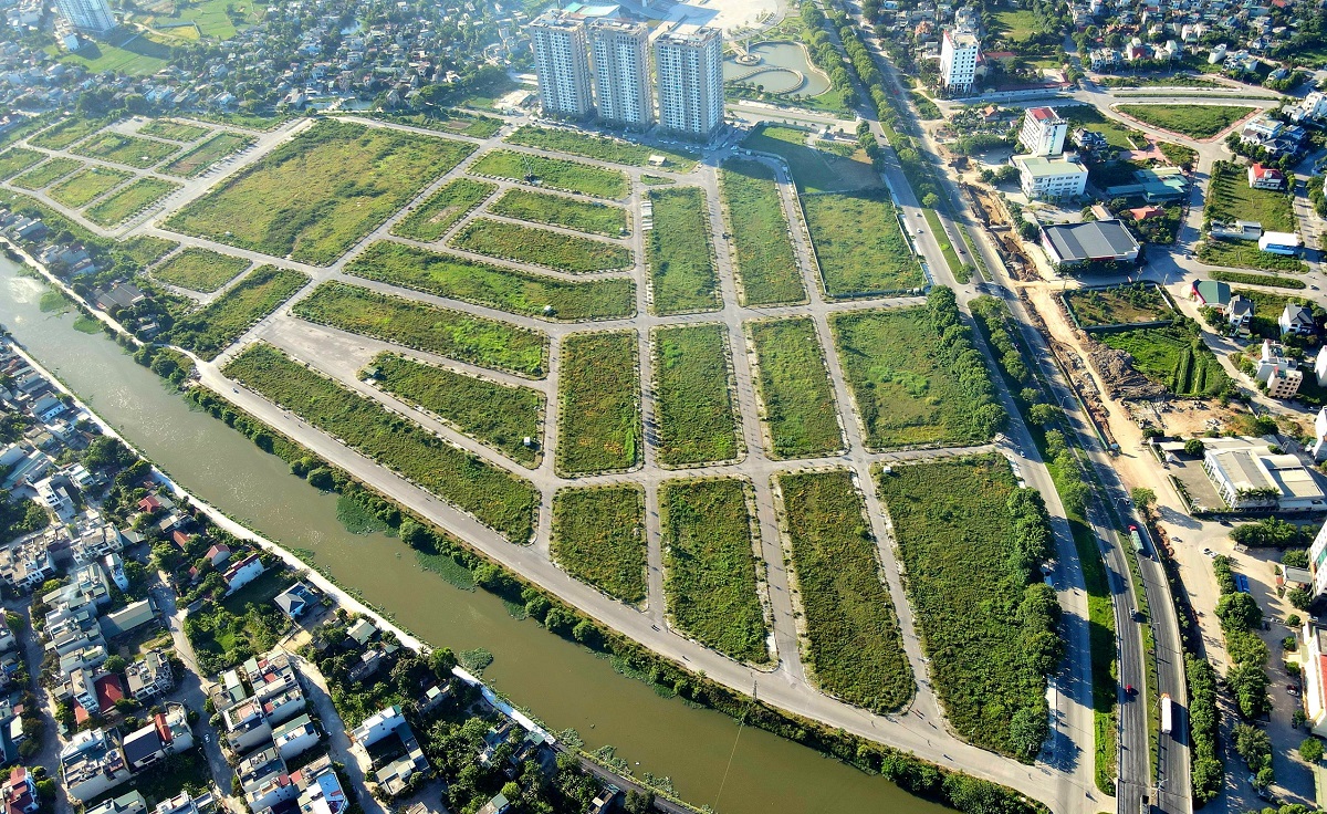 Mặt bằng đất vàng giữa lòng TP Thanh Hóa thành nơi thả bò - Ảnh 1.