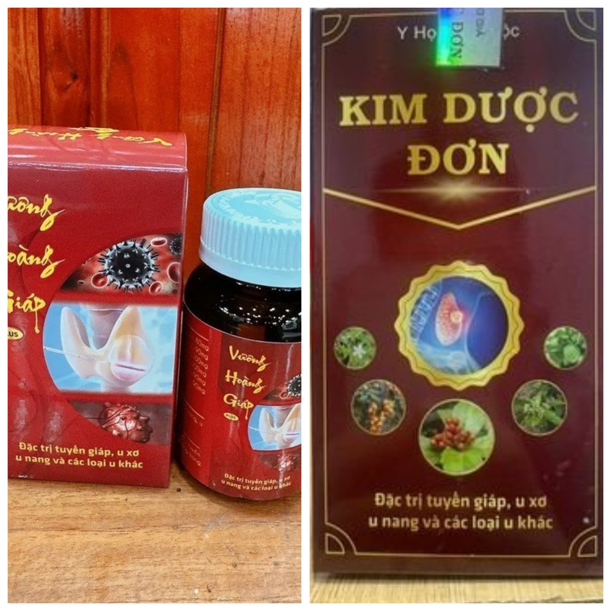 Giả mạo Viện Y dược học dân tộc TP HCM để bán thuốc đông y