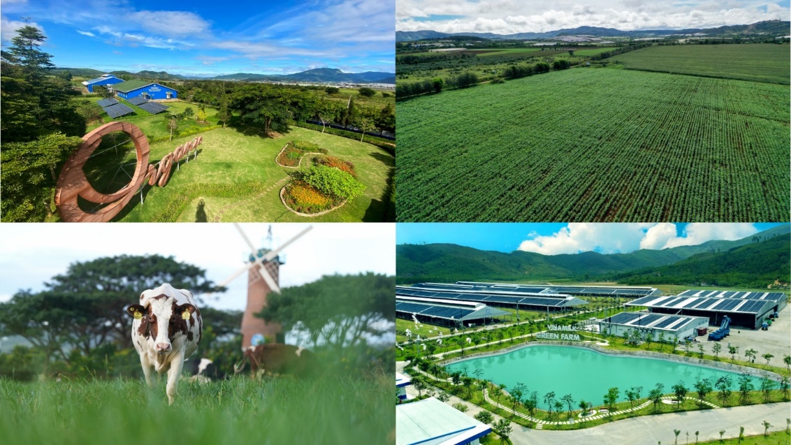 Để có các mô hình “trang trại sinh thái”, “trung hòa carbon”, Vinamilk đã chuẩn bị như thế nào? - Ảnh 4.