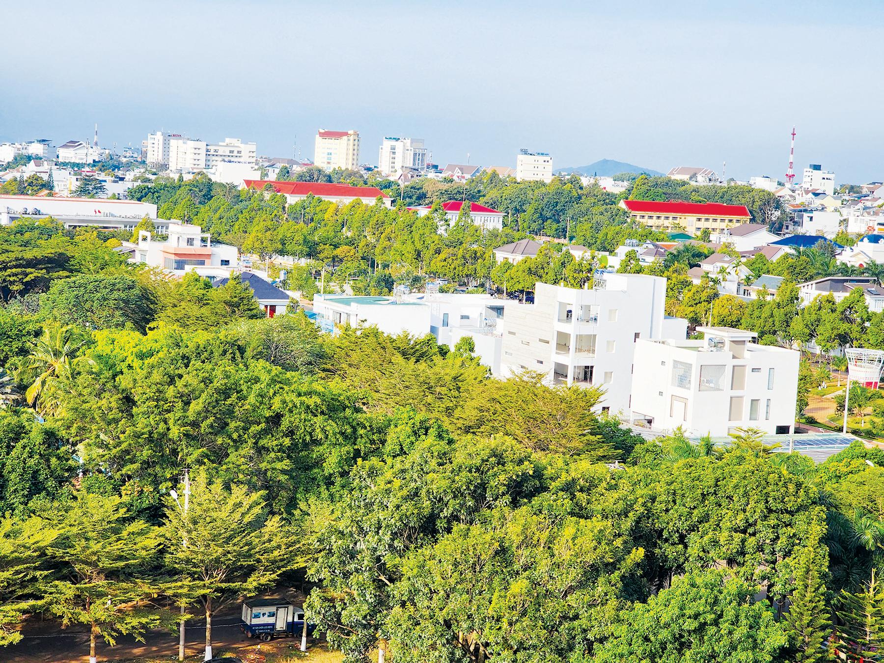 TP Buôn Ma Thuột quyết tâm thực hiện cơ chế đặc thù - Ảnh 1.