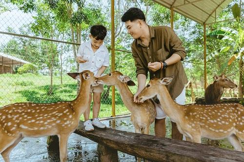 Yang Bay- m&ugrave;a h&egrave; rực rỡ - Ảnh 1.
