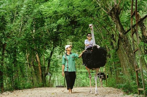 Yang Bay- m&ugrave;a h&egrave; rực rỡ - Ảnh 2.