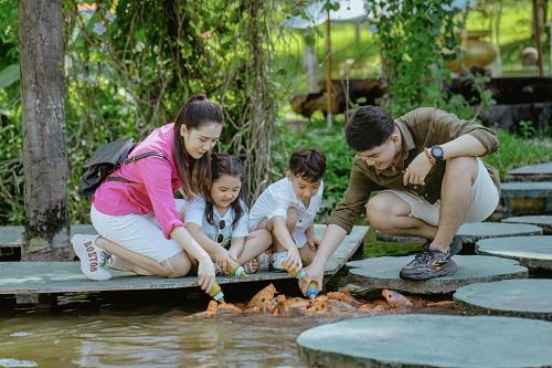 Yang Bay- mùa hè rực rỡ