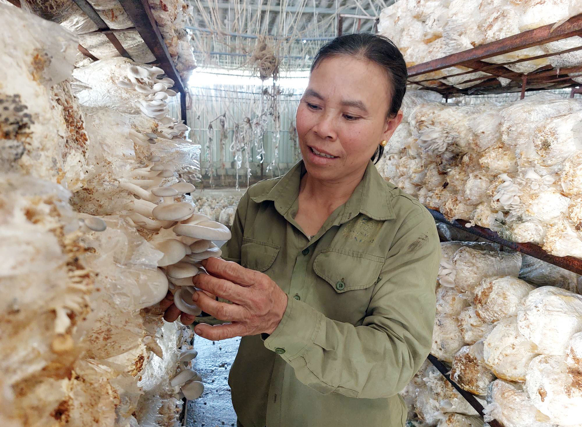 Khép kín từ trang trại đến bàn ăn