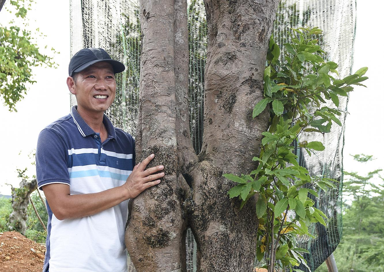 Khu vườn bonsai độc đáo của chàng trai trẻ Quảng Nam