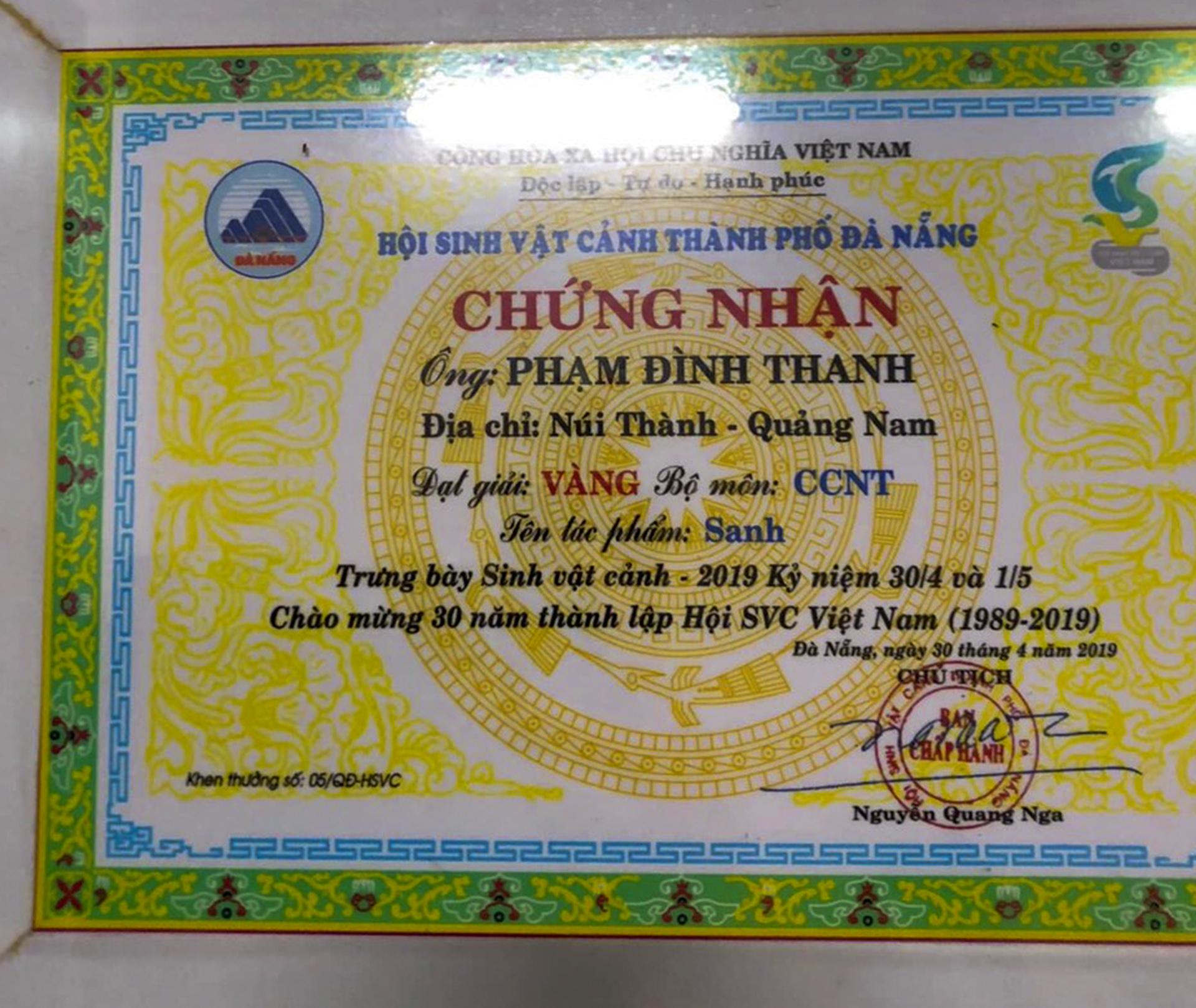Khu vườn bonsai độc đáo của chàng trai trẻ Quảng Nam - Ảnh 4.