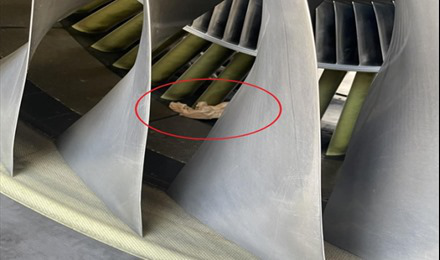 Máy bay cán đinh, Cục Hàng không yêu cầu tăng cường dọn dẹp đường băng - Ảnh 4.