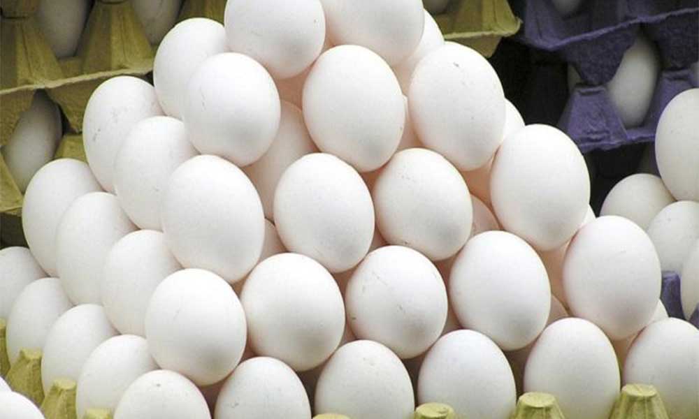 Giá trứng tăng sốc