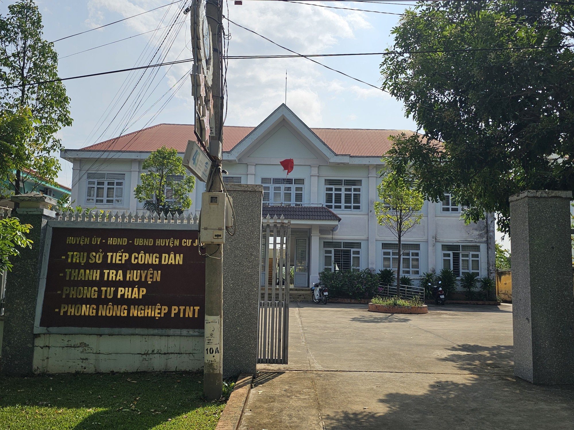 Cách chức Trưởng Phòng Tư pháp vì... ăn trộm cây hoa giấy