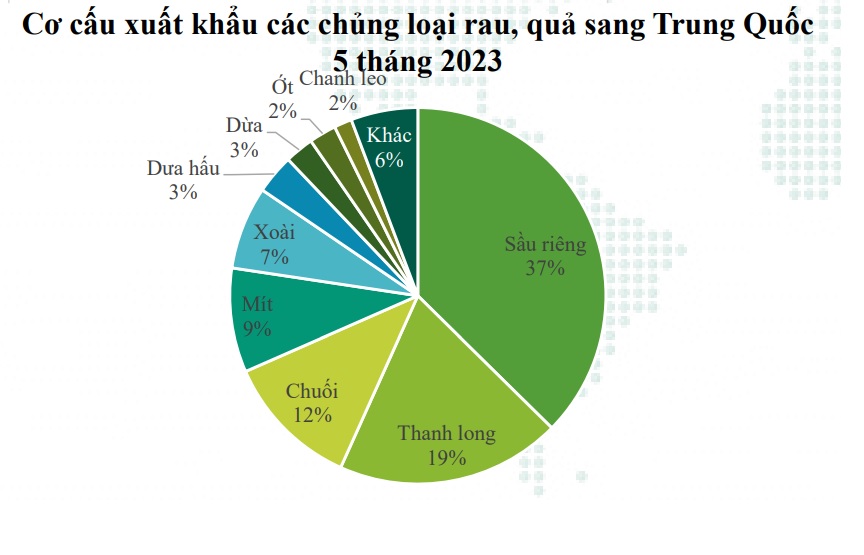 Xuất khẩu sầu ri&ecirc;ng sang Trung Quốc tăng 10 lần trong 1 th&aacute;ng - Ảnh 2.