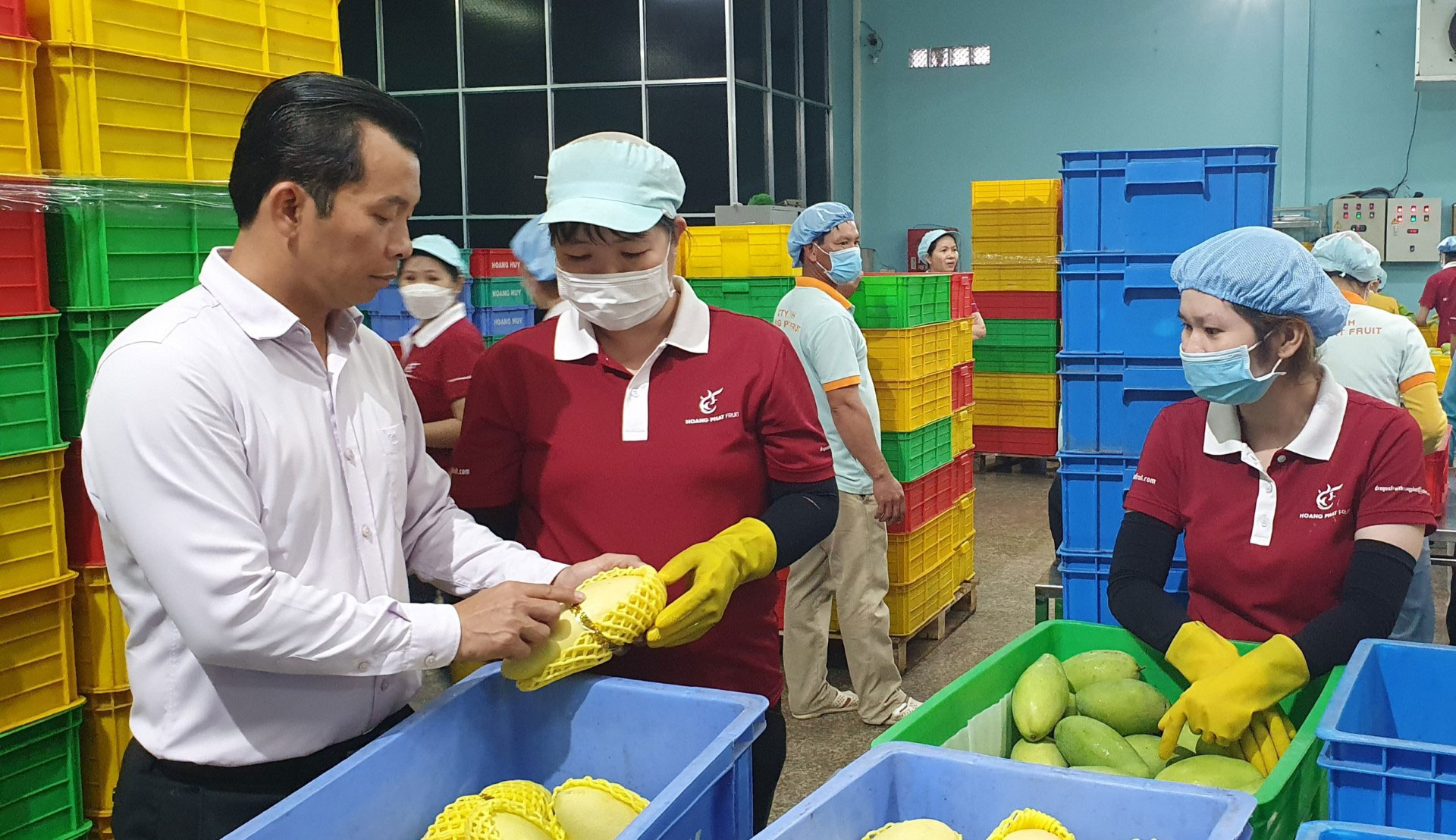 Quản lý rủi ro khi xuất khẩu nông sản tươi