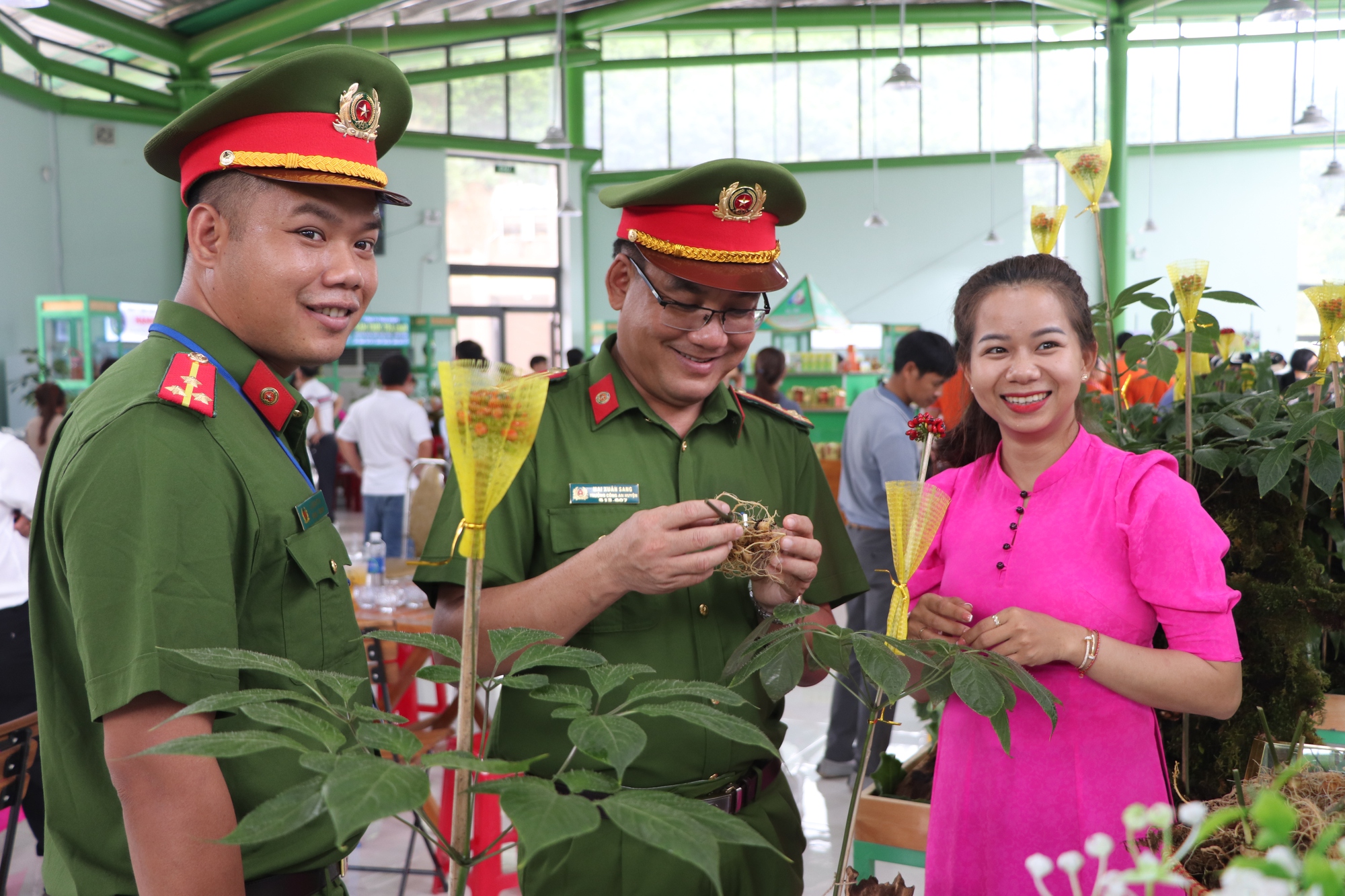 VIDEO: 160 triệu đồng/kg sâm Ngọc Linh, cách nào phân biệt thật, giả? - Ảnh 9.