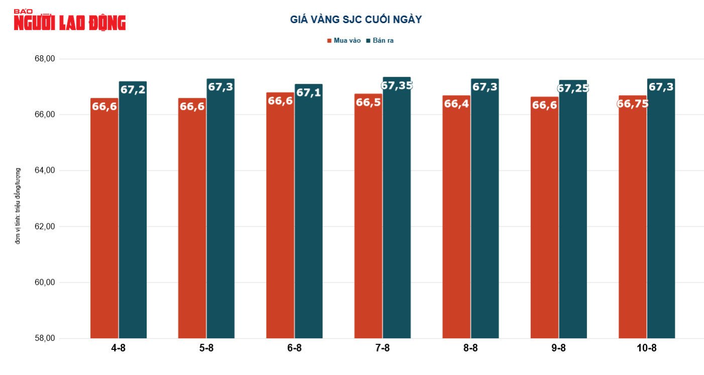 Giá vàng hôm nay 11-8: Vàng trong nước bất động dù thế giới lao dốc - Ảnh 3.