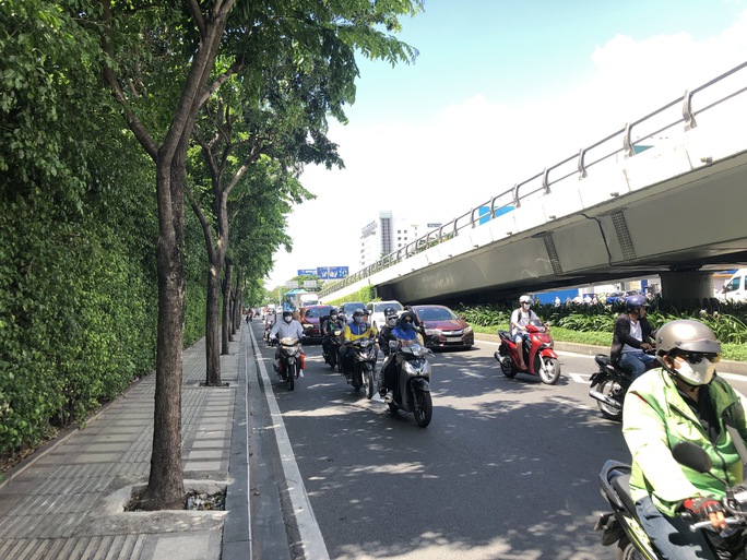 TP HCM l&yacute; giải việc tr&aacute;m b&ecirc; t&ocirc;ng quanh gốc c&acirc;y gần T&acirc;n Sơn Nhất