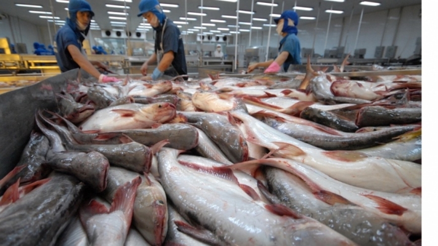 Xuất khẩu cá tra đạt 1 tỉ USD trong 7 tháng