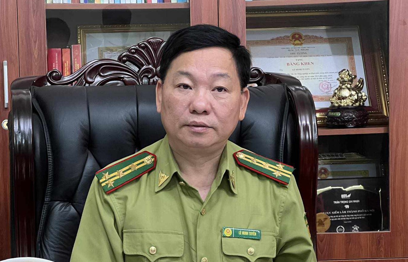 Đất rừng Sóc Sơn bị "xẻ thịt" nghiêm trọng, Chi cục trưởng Kiểm lâm nói rất xót ruột