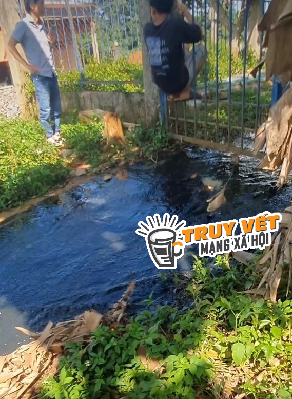 CLIP: Sự thật ớn lạnh về dòng nước đen ngòm từ nhà máy nước xả xuống hồ nước