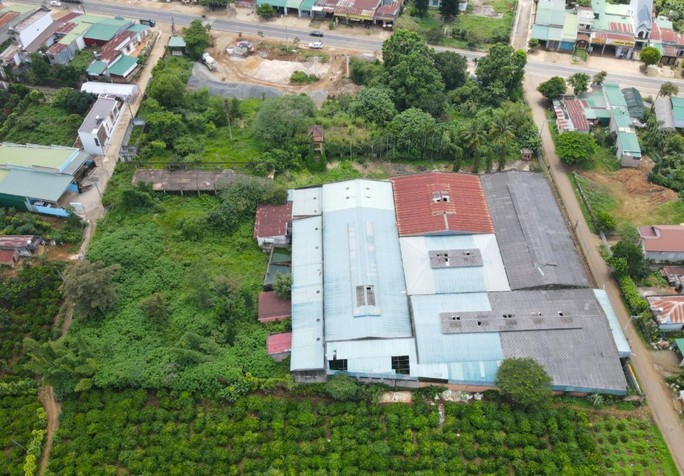 &Ocirc;ng Đặng L&ecirc; Nguy&ecirc;n Vũ muốn nhận lại 4.337 m2 đất ở L&acirc;m Đồng - Ảnh 1.