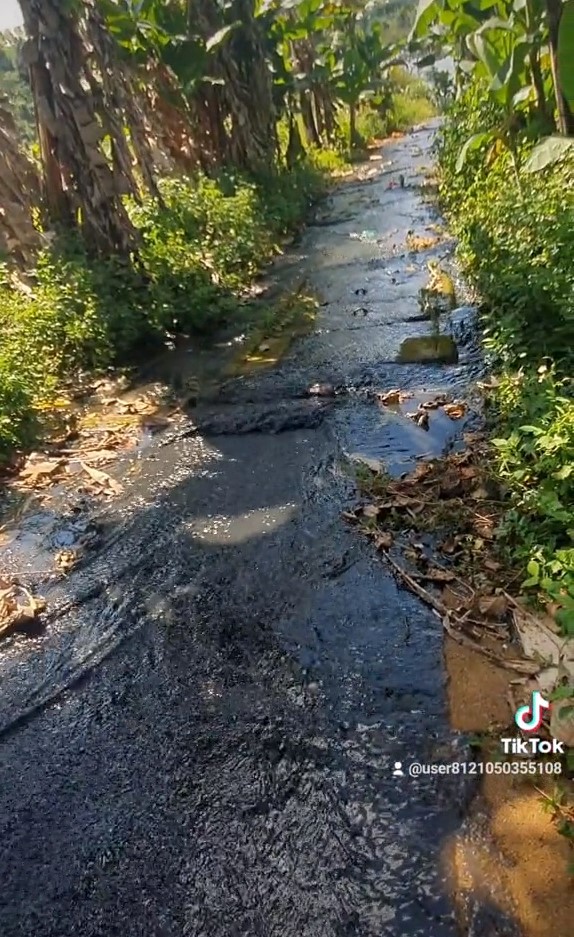 CLIP: Sự thật ớn lạnh về dòng nước đen ngòm từ nhà máy nước xả xuống hồ nước - Ảnh 2.