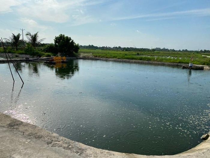 Hai &ocirc;ng ch&aacute;u chết đuối dưới ao nu&ocirc;i chạch - Ảnh 3.