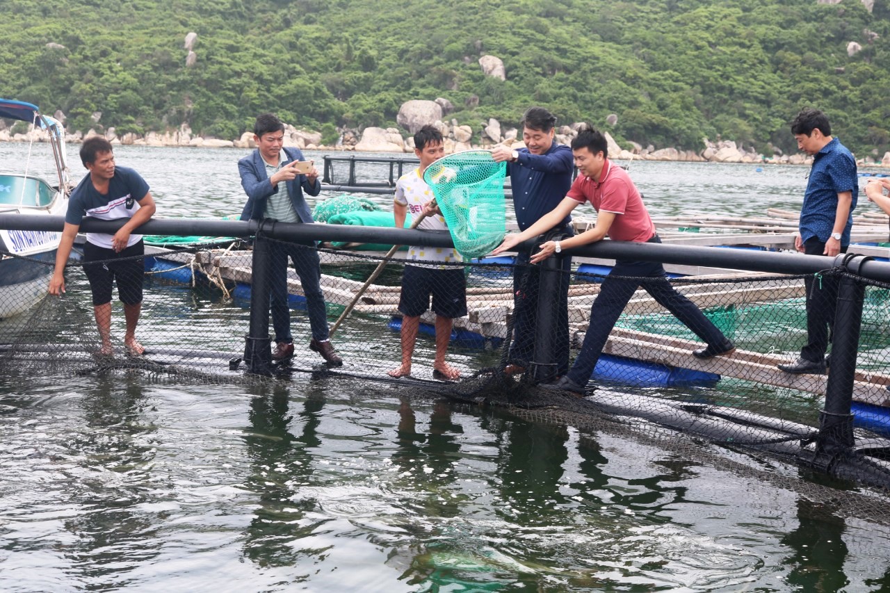 Li&ecirc;n kết để ph&aacute;t triển kinh tế biển - Ảnh 3.