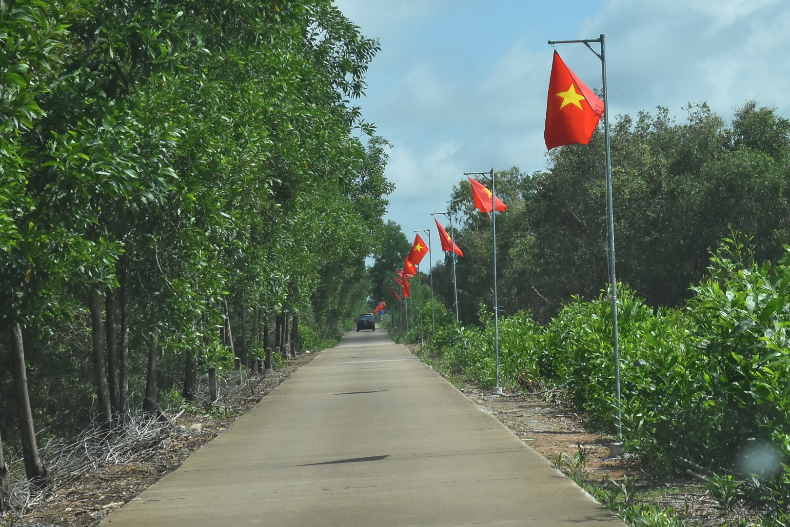 Kh&aacute;nh th&agrave;nh c&ocirc;ng tr&igrave;nh Đường cờ Tổ quốc Bi&ecirc;n cương - Ảnh 6.