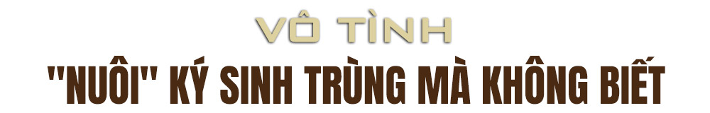 Kinh dị bảo tàng nhốt sinh vật “khủng” từ cơ thể người- Ảnh 9.