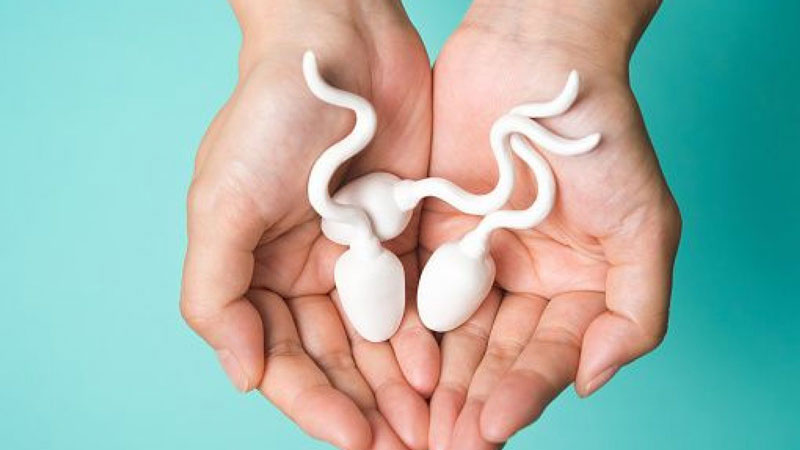 Quan hệ tình dục mỗi ngày có làm "kho đạn" cạn kiệt?