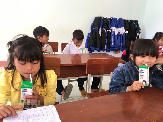 Bất ngờ l&yacute; do Quảng Nam kh&ocirc;ng thể chi 150 tỉ mua sữa cho học sinh miền n&uacute;i - Ảnh 1.