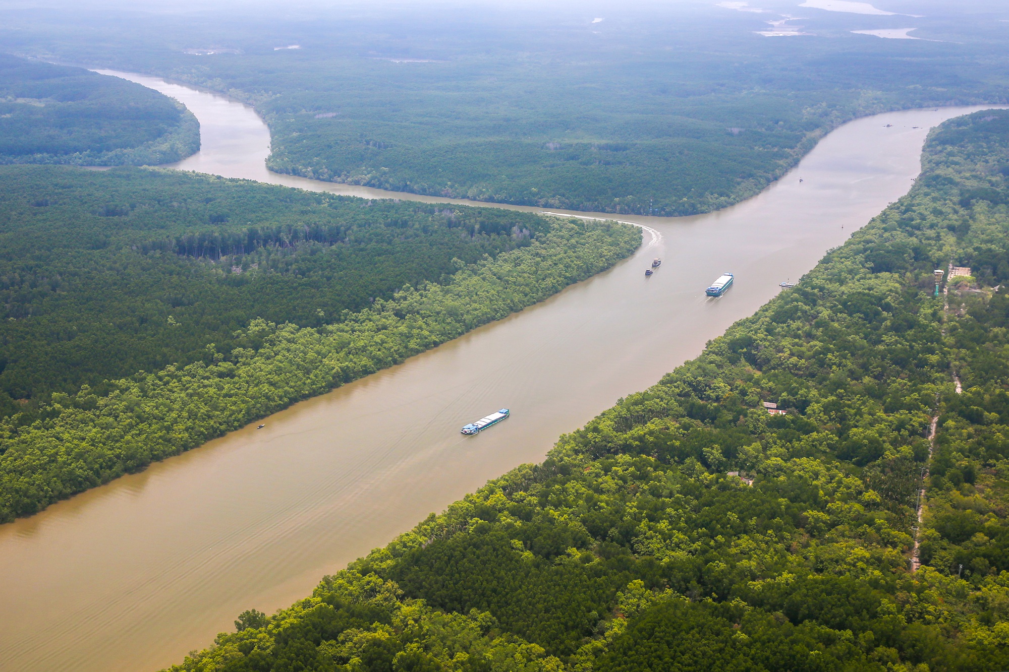 Rừng Cần Giờ dư sức thành Ramsar