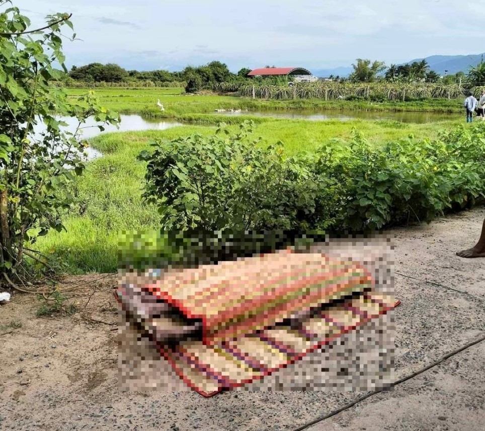 Bình Thuận: Hai chị em gái chết đuối dưới ao gần nhà