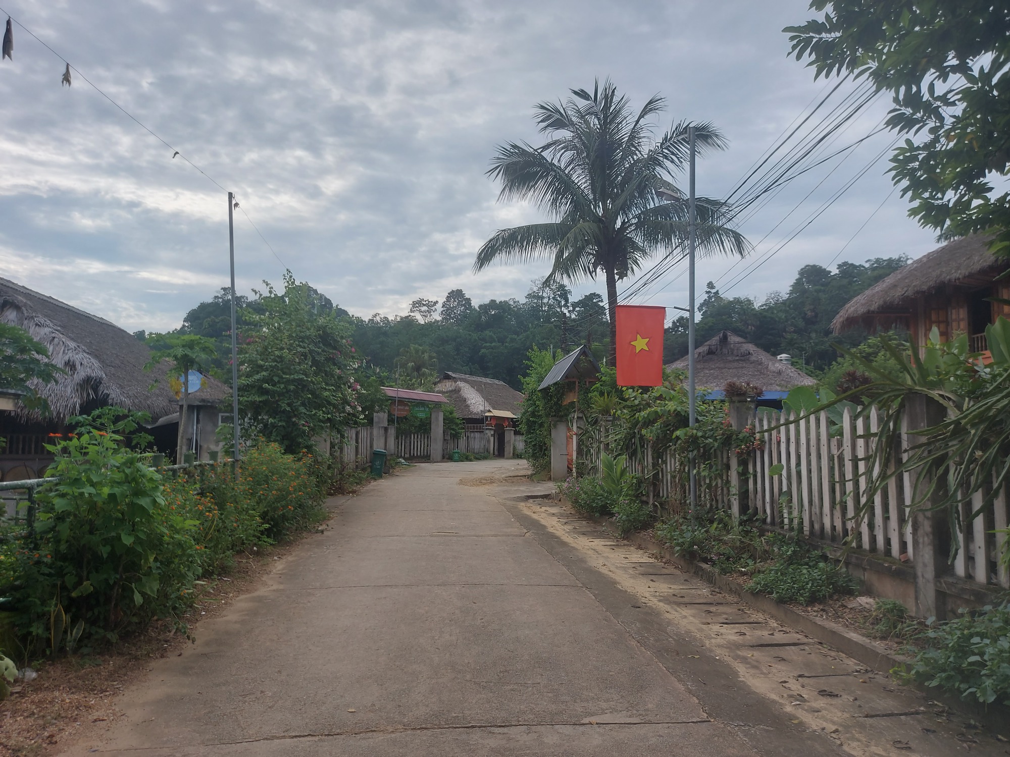 Tân Trào thay da đổi thịt
