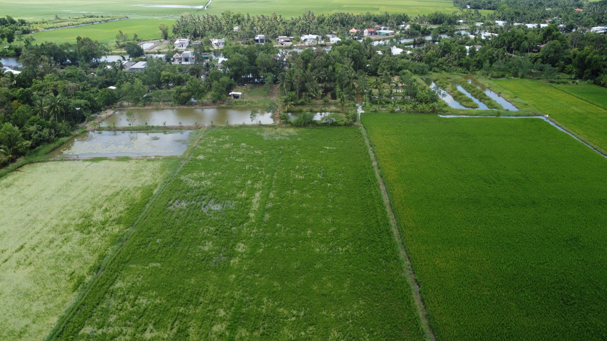 Phó Thủ tướng Trần Lưu Quang làm việc tại Bạc Liêu