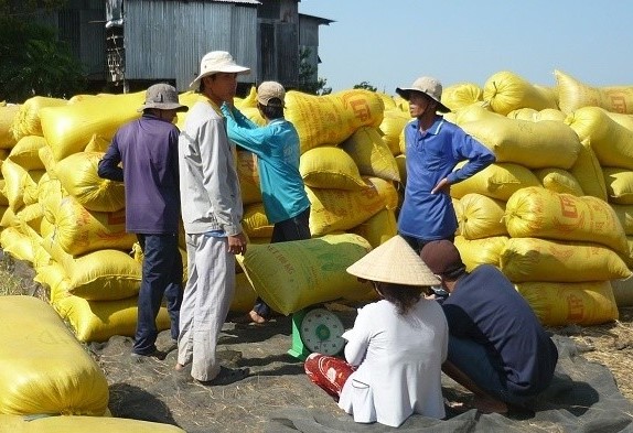 Bộ Công Thương: Tránh mua gom gạo ồ ạt, đẩy giá trong nước tăng bất hợp lý