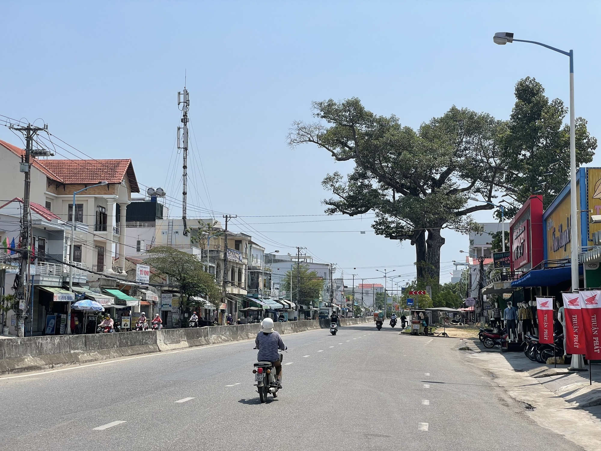 Cây Dầu Đôi 300 tuổi gắn với danh tướng Trịnh Phong bị gãy nhánh - Ảnh 4.